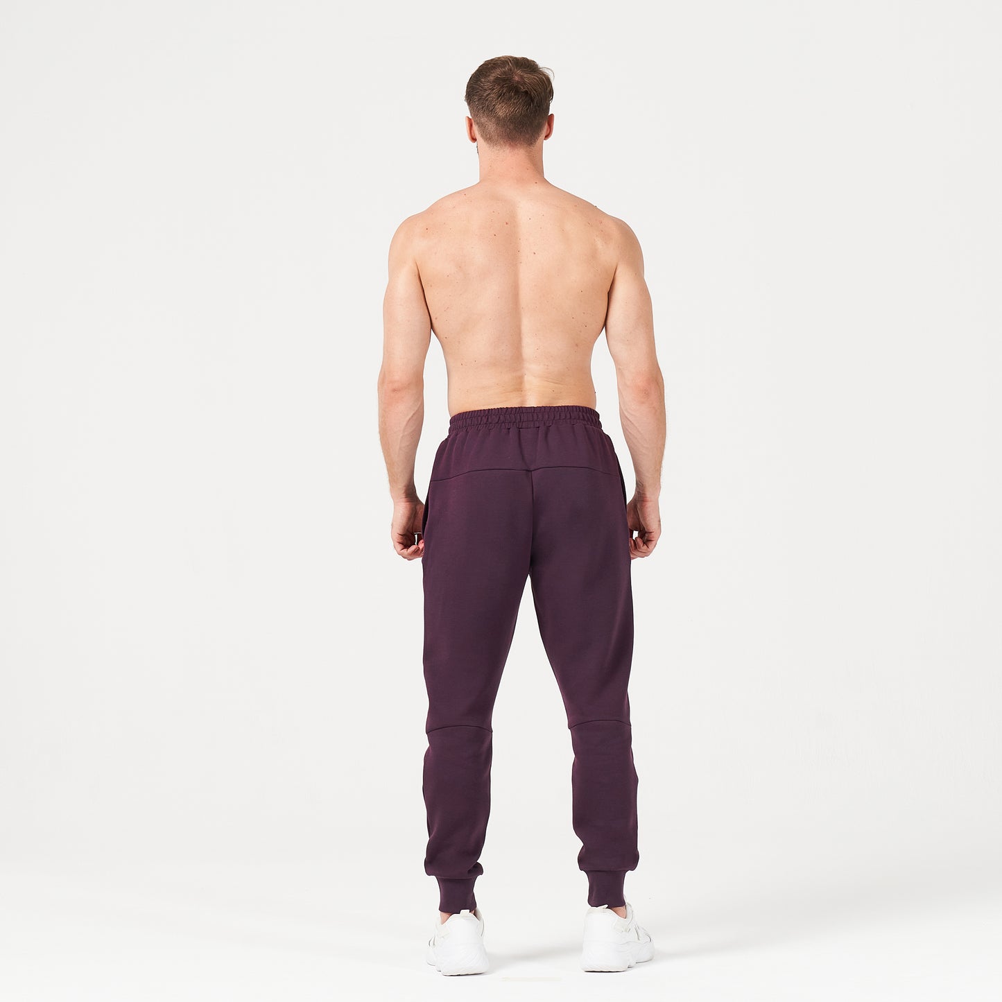 squatwolf-gym-wear-lab360-drylite-joggers-plum-perfect-workout-pants-for-men