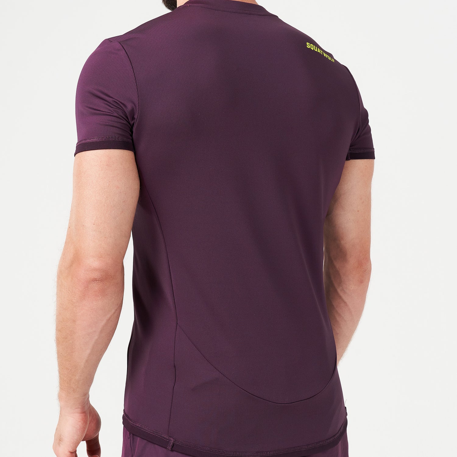 squatwolf-gym-wear-lab360-tdry-tee-plum-perfect-workout-shirts-for-men